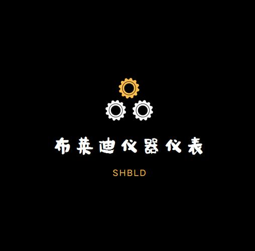 上海布莱迪仪器仪表销售 产品体系、渠道策略与服务模式解析